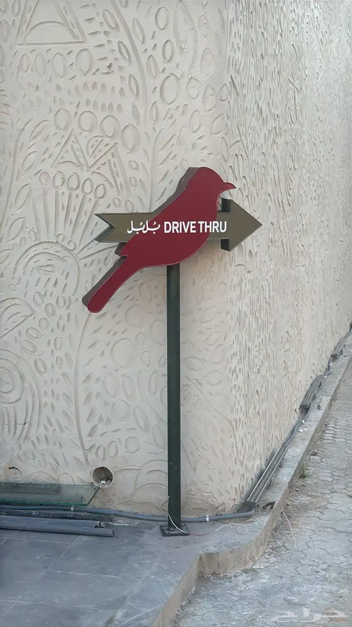 خطاط في القصيم 7
