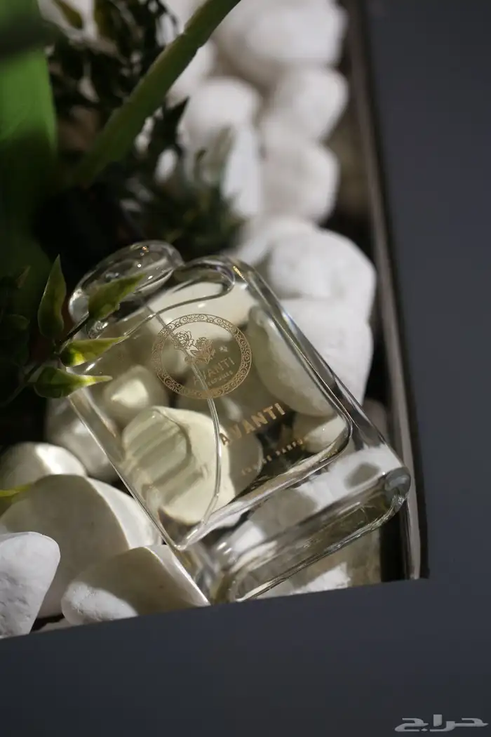 عطر أفانتي للجنسين - تجربة عطرية فريدة 4
