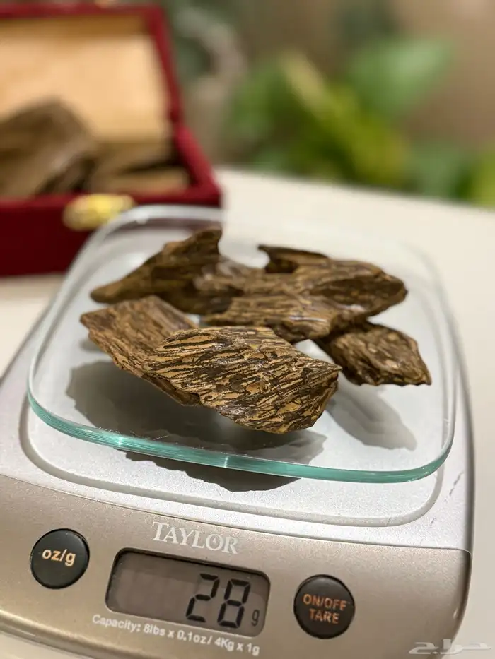 عود كلمنتان فاخر بسعر منافس 0