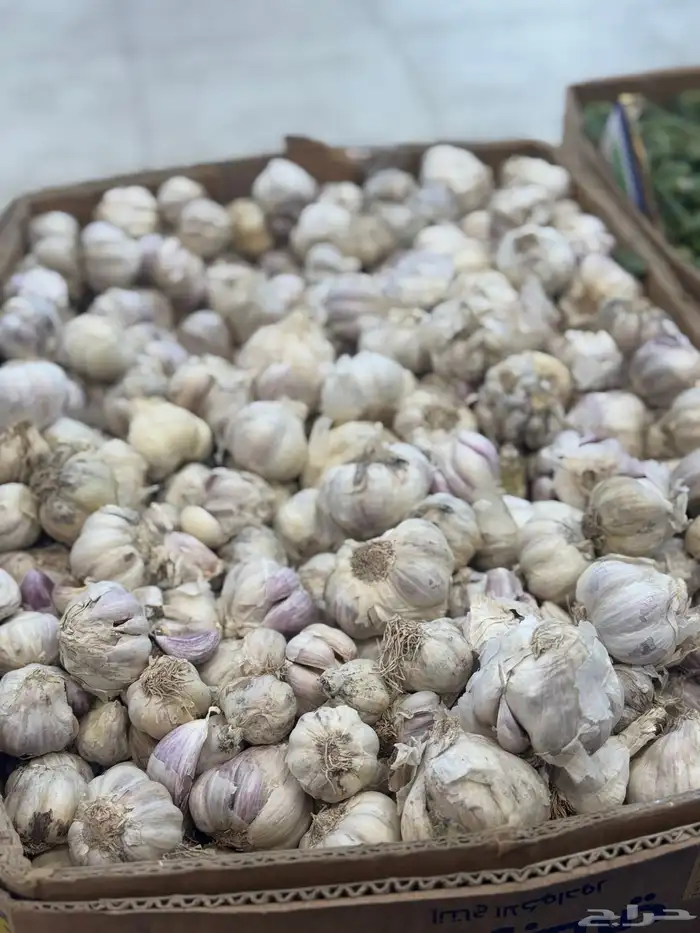 خضار 3