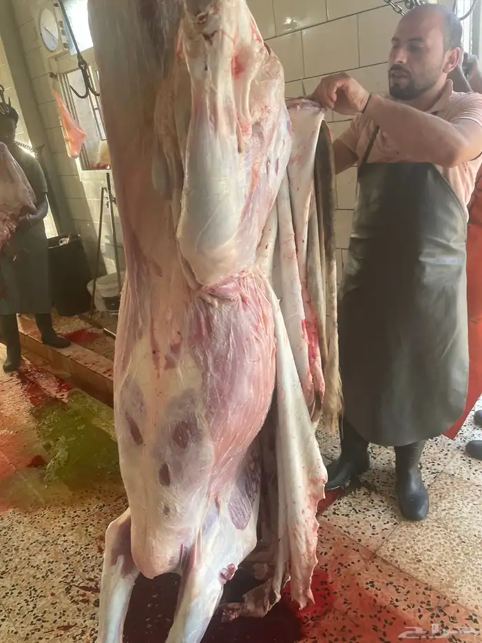 حسيل شركه ربع 1300 29