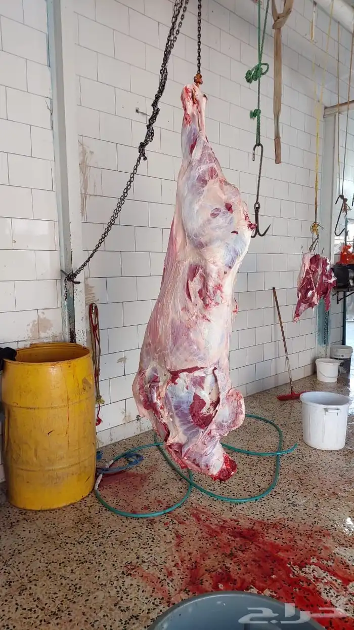 حسيل شركه ربع 1300 7