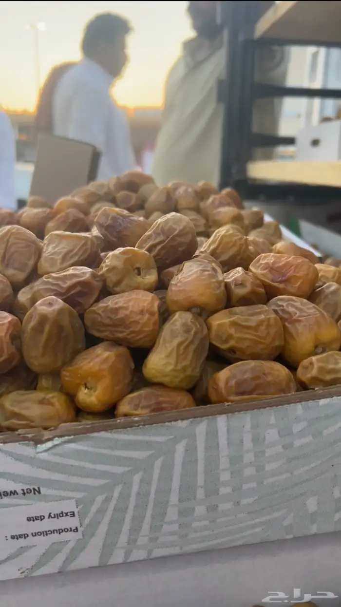 أفخر انواع تمور القصيم الملكيه 20