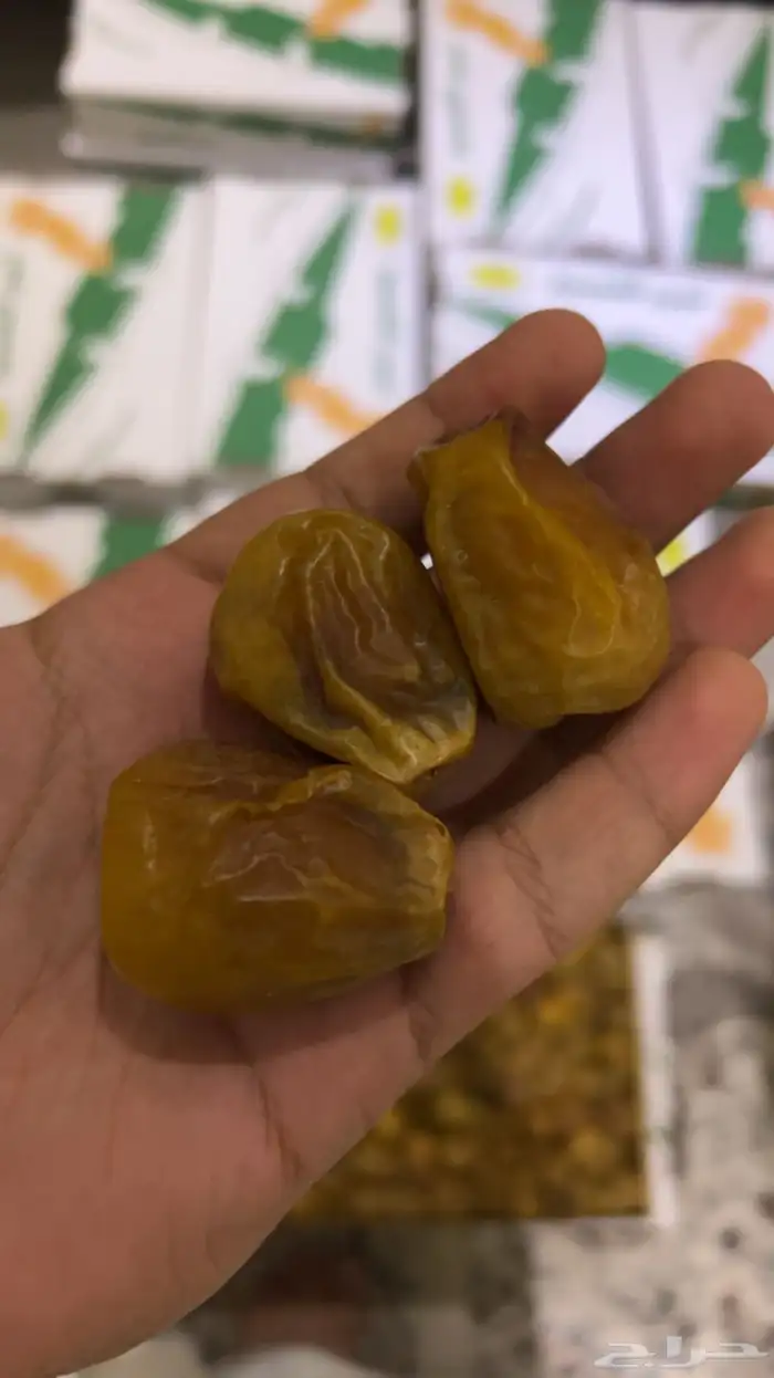 أفخر انواع تمور القصيم الملكيه 32