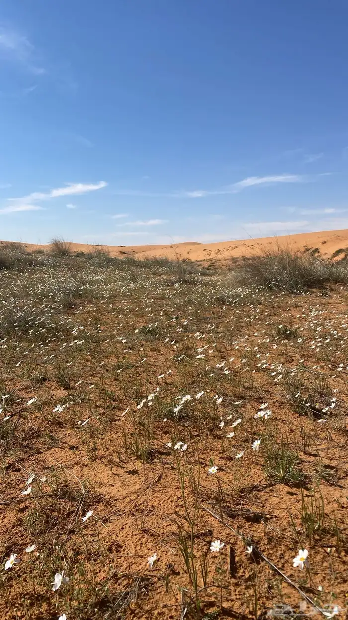 ماطور هواء 1