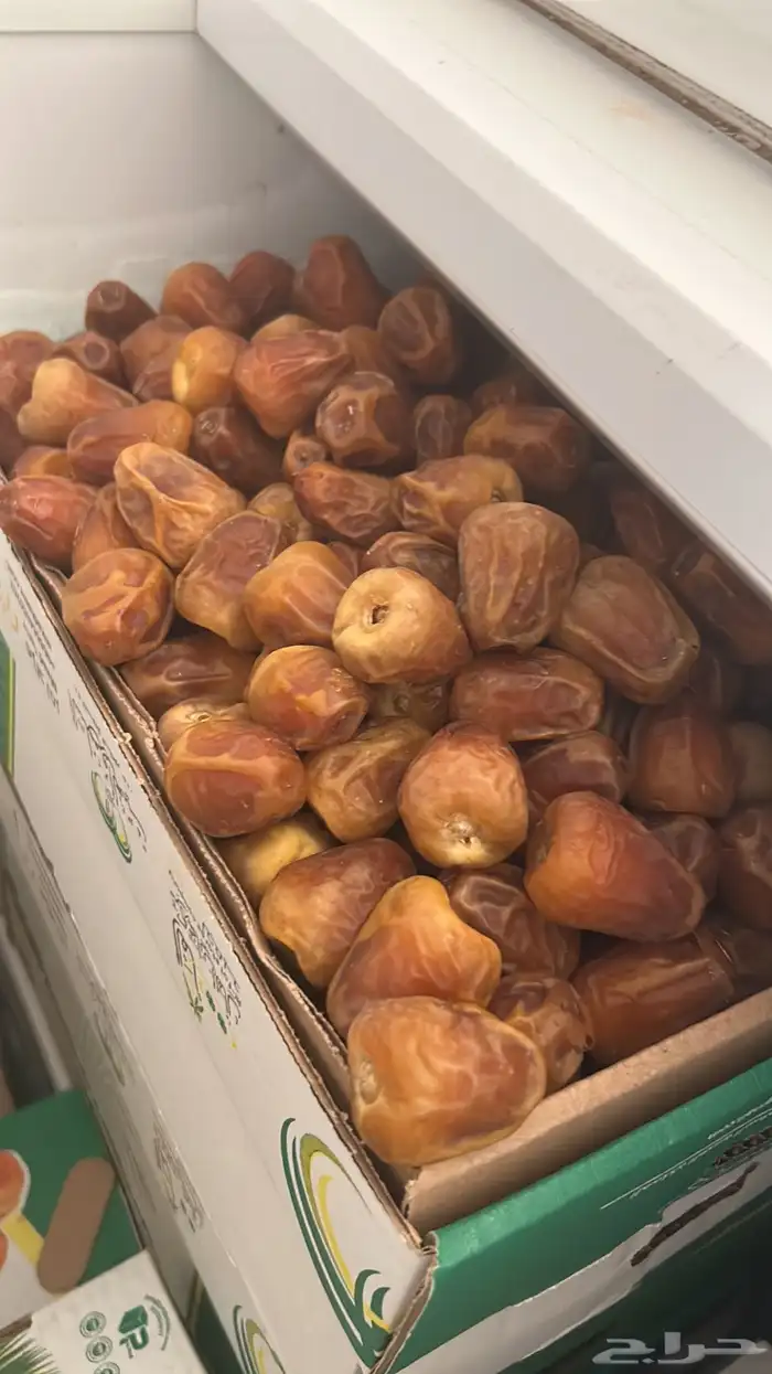 أفخر انواع تمور القصيم الملكيه 3