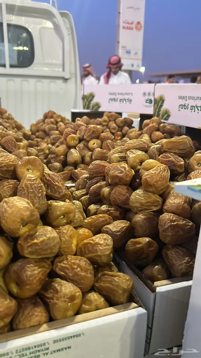 أفخر انواع تمور القصيم الملكيه 4