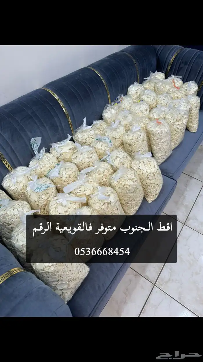 اقط غنم 0