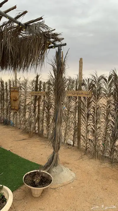 مخيم عسيب للايجار اليومي 9