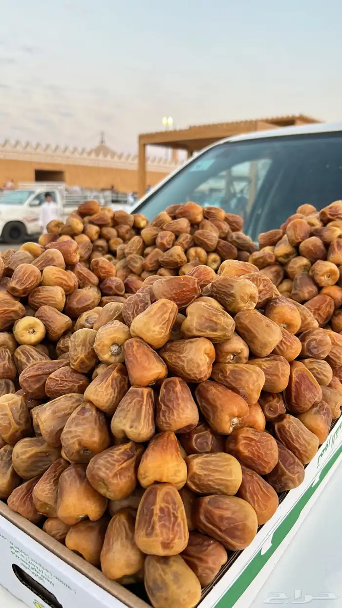 أفخر انواع تمور القصيم الملكيه 30