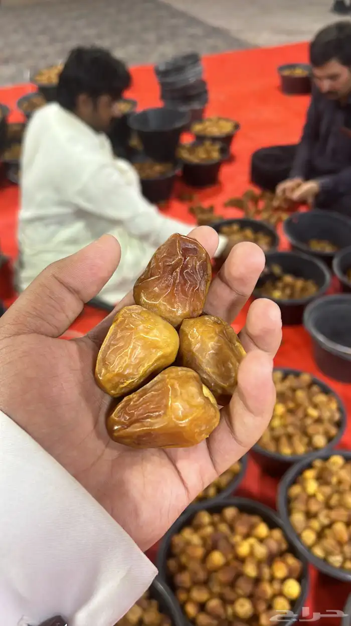 أفخر انواع تمور القصيم الملكيه 12