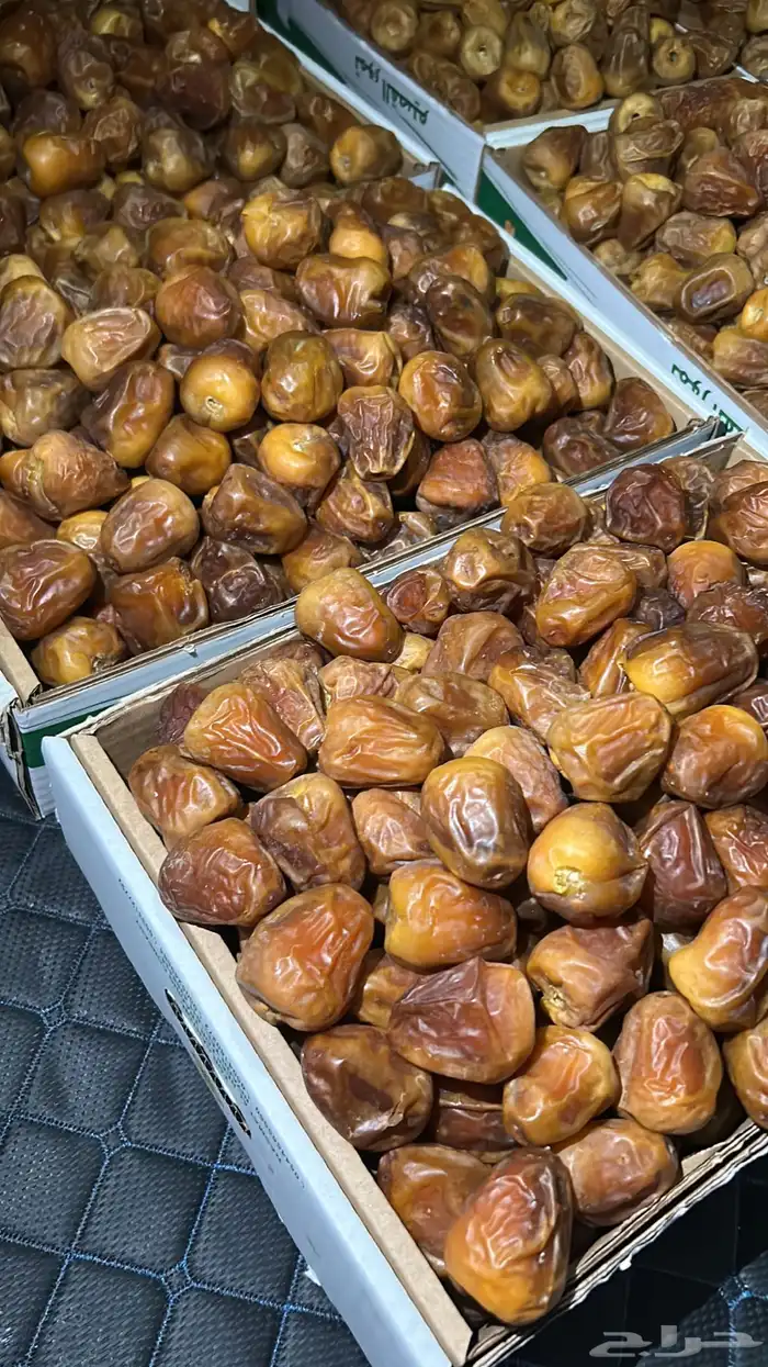 أفخر انواع تمور القصيم الملكيه 14