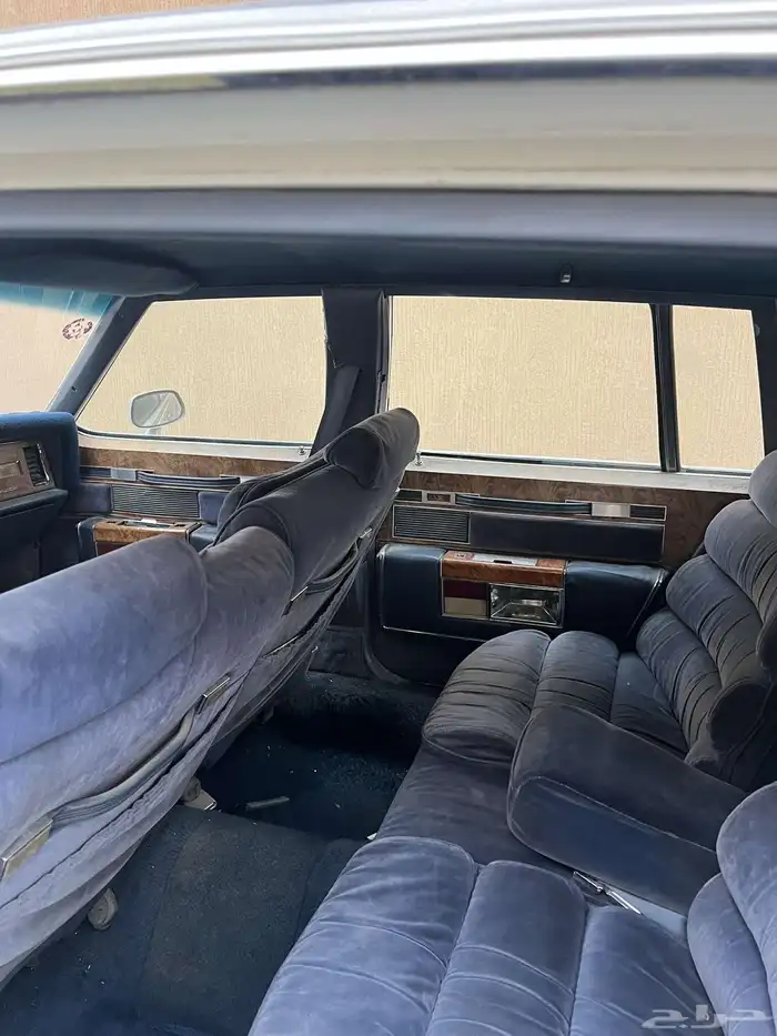 بيوك 1984 بارك افينو 14