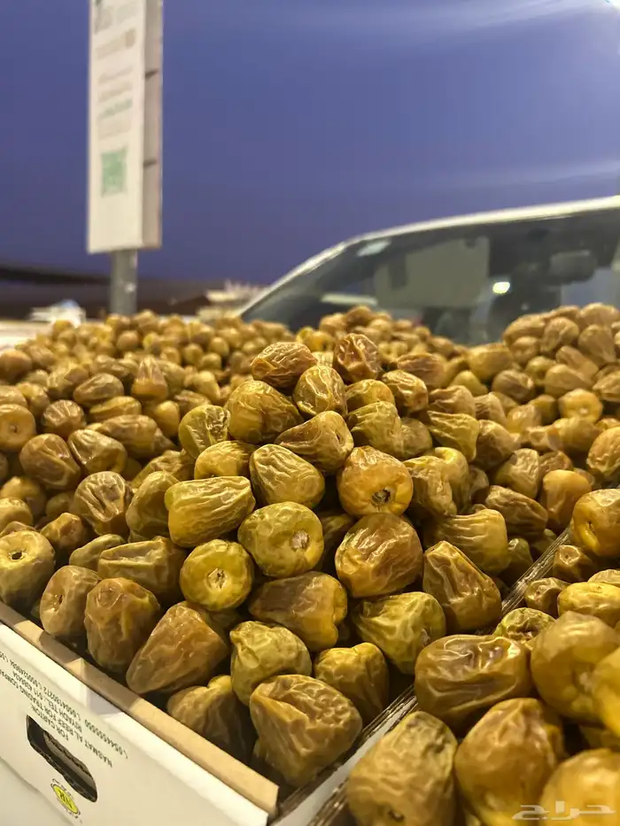 أفخر انواع تمور القصيم الملكيه 22