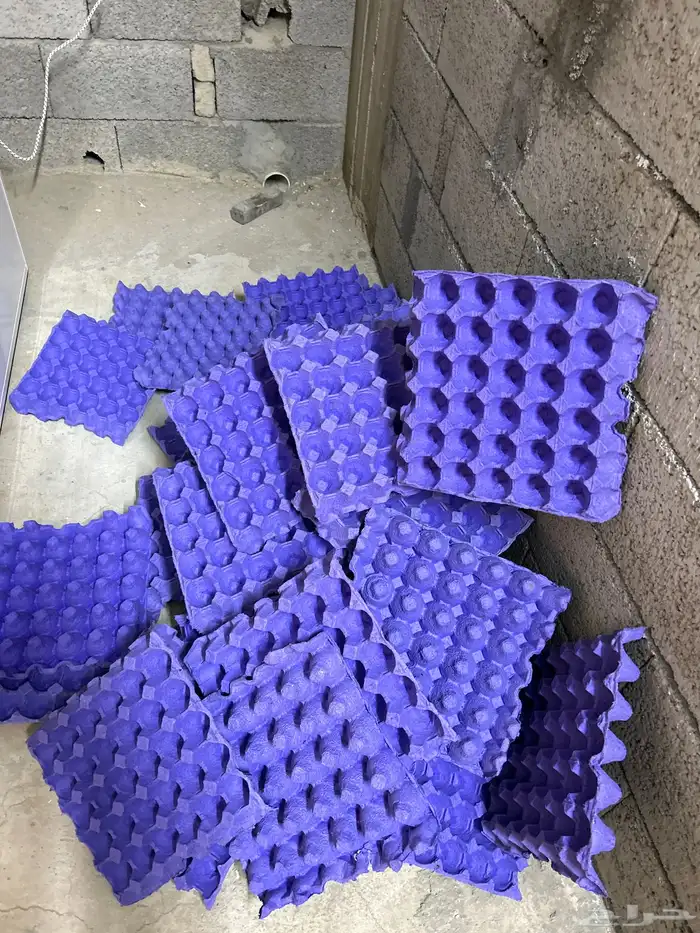 اطباق بيض 0