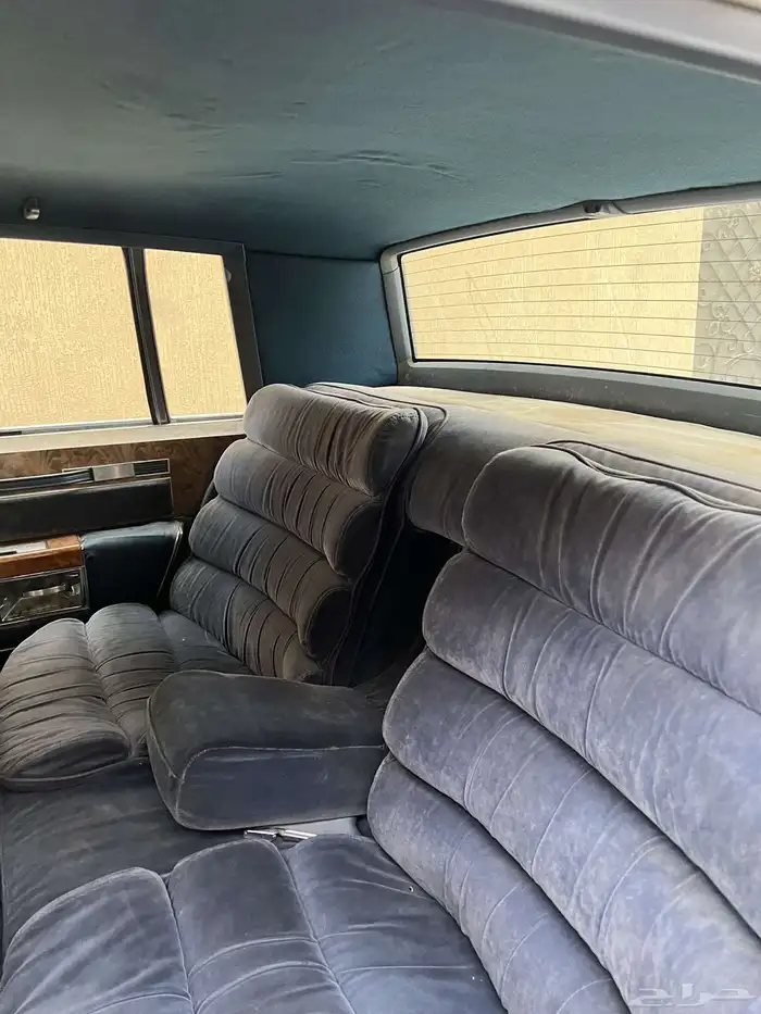 بيوك 1984 بارك افينو 15