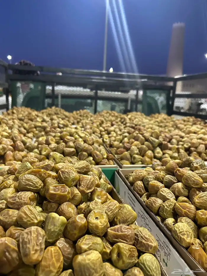 أفخر انواع تمور القصيم الملكيه 24