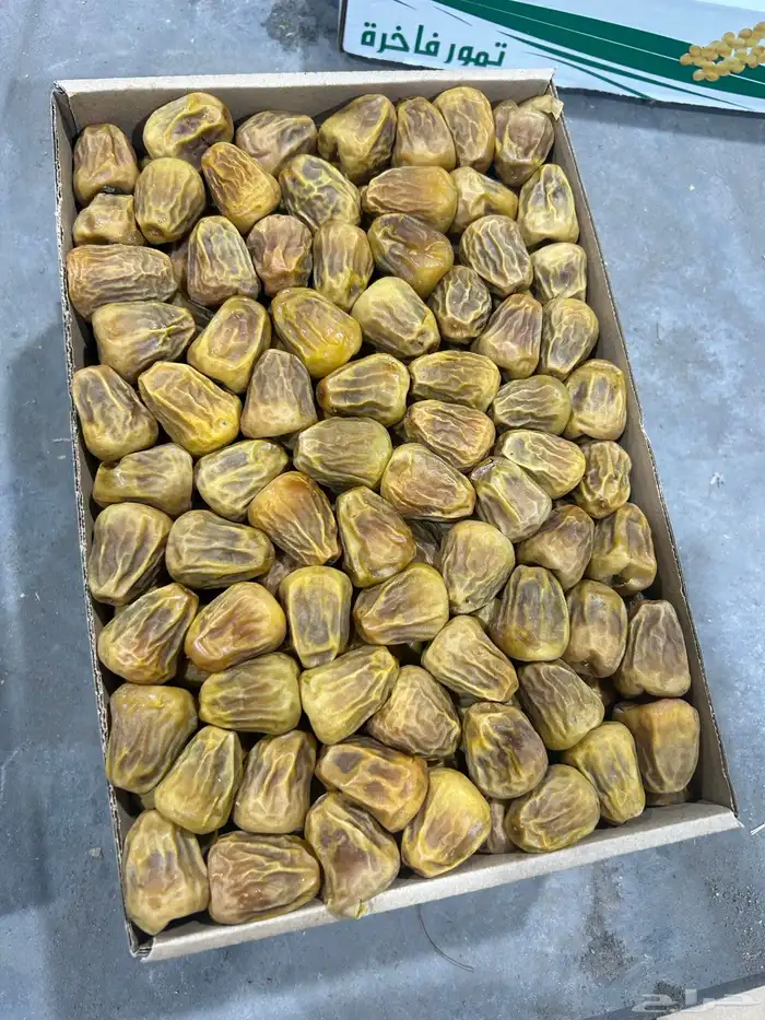 أفخر انواع تمور القصيم الملكيه 8