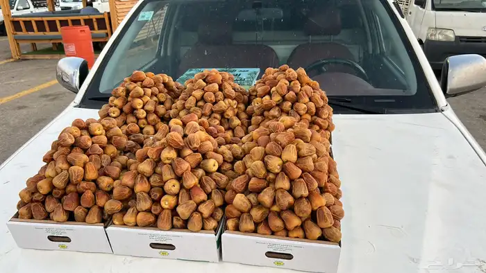 أفخر انواع تمور القصيم الملكيه 28