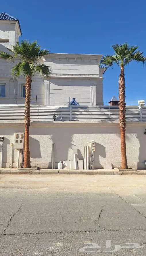 نخل واشنطني زينه للبيع على جميع المقاسات والأشكال المختلفه 17