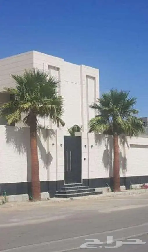 نخل واشنطني زينه للبيع على جميع المقاسات والأشكال المختلفه 5