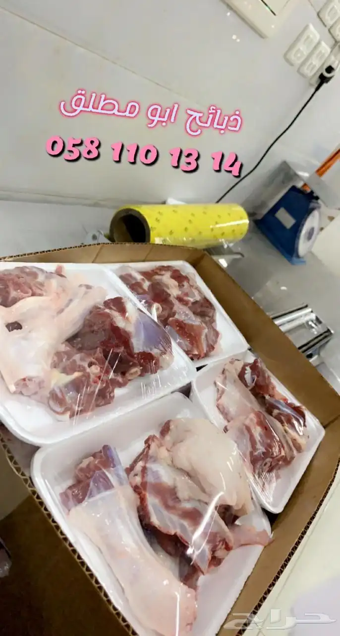 ذبايح بريه 4