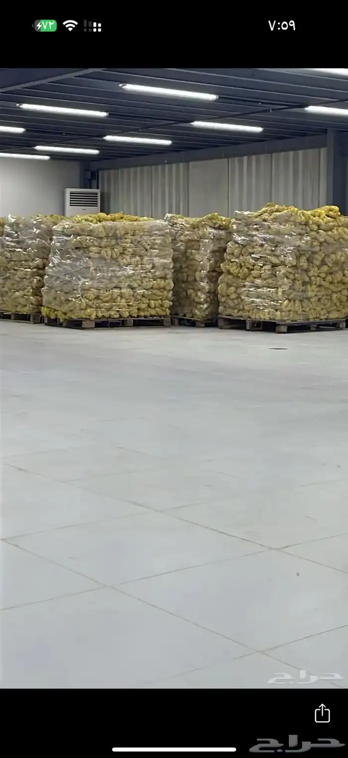 بطاطس جمله طلبيه 100 كيلو سعر خاص 3