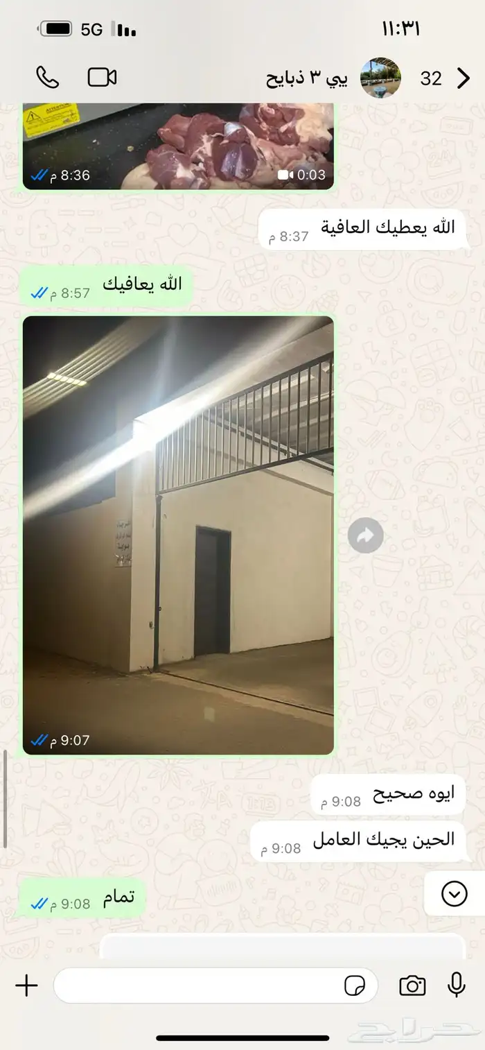 تيوس طليان 14