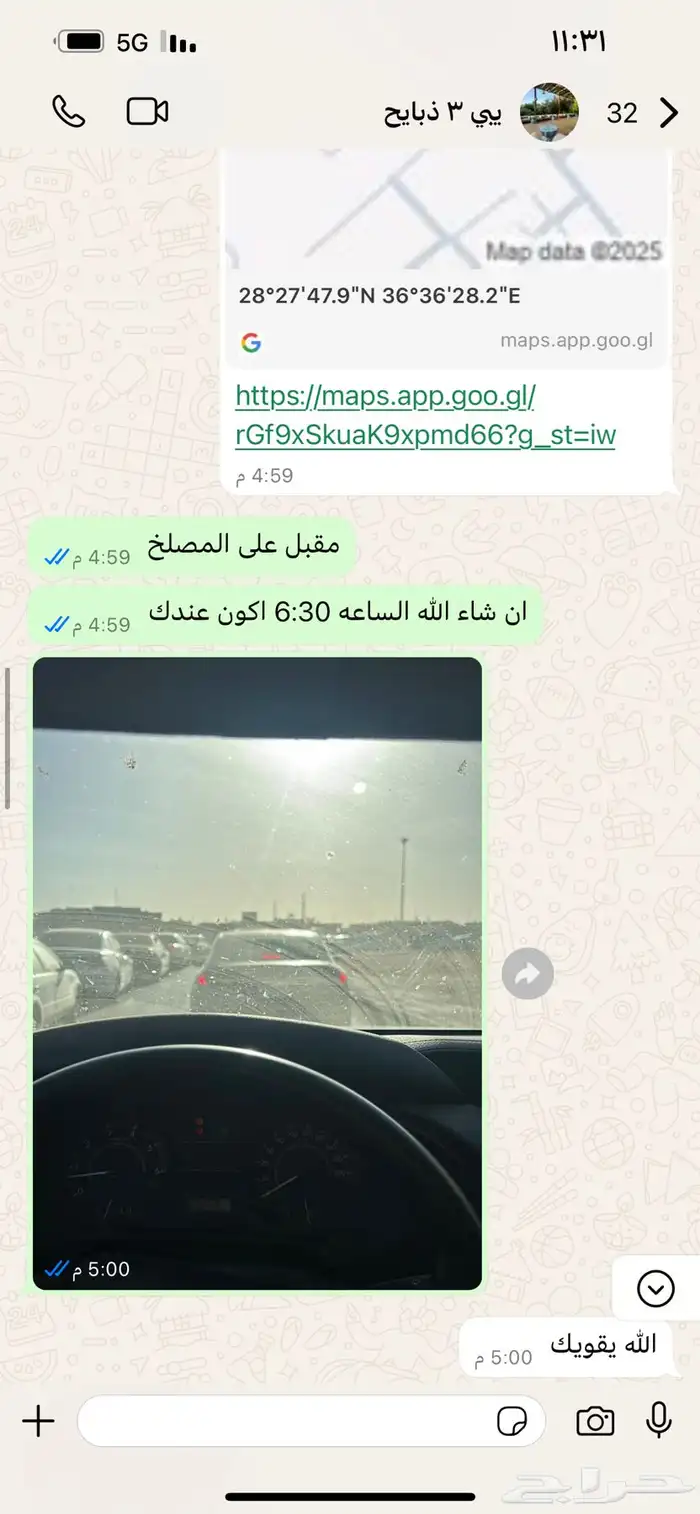 تيوس طليان 16