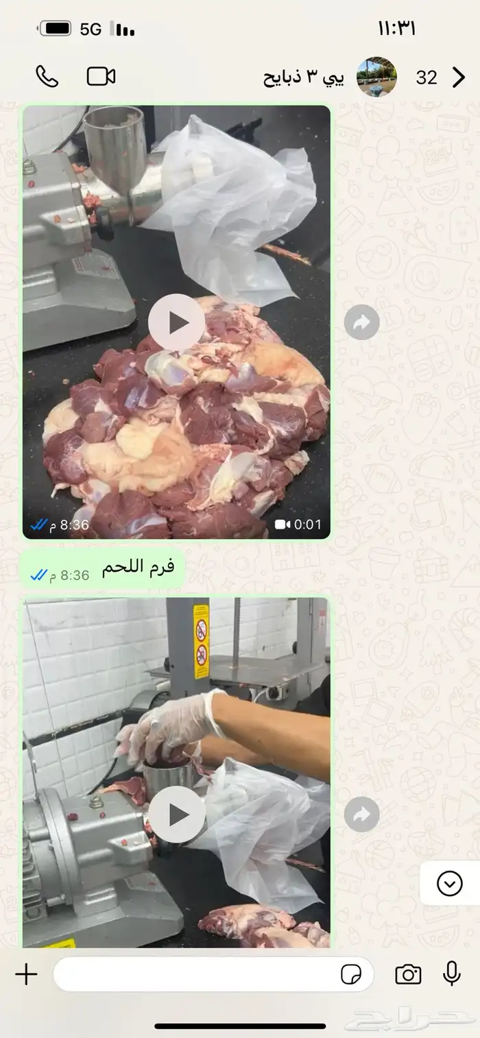 ذبايح تيوس طليان 16