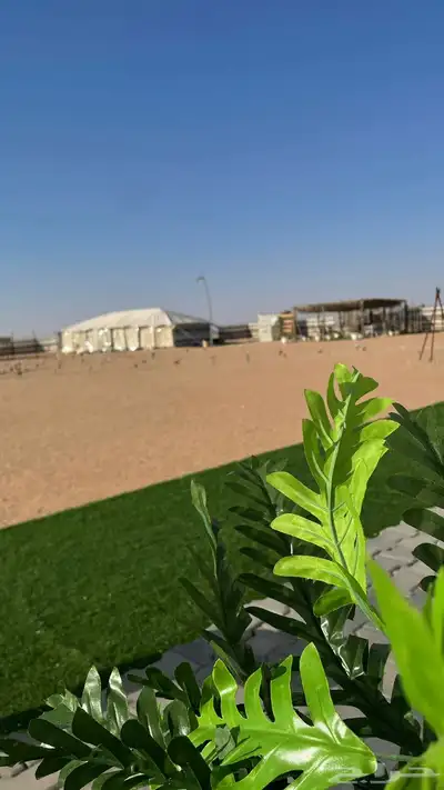 مخيم عسيب للايجار اليومي 15