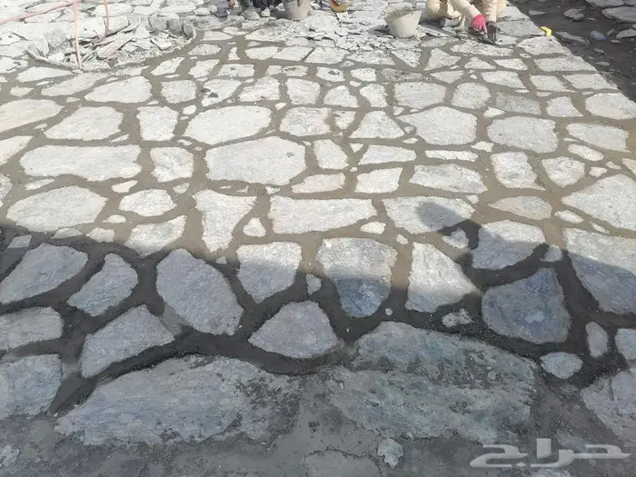 ربراب منازل فلل 0