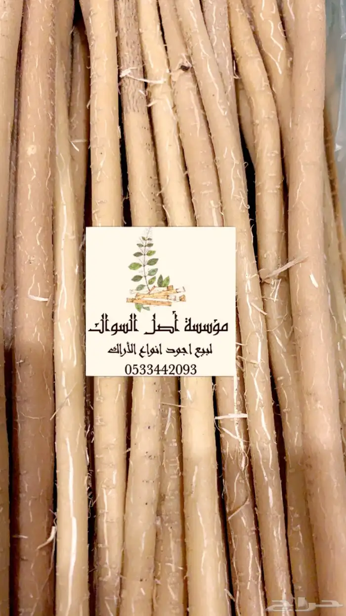 سواك ابو حنش الحار يصلك اينما كنت 4