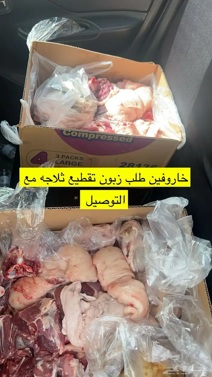 ذبايح ابو حزام خرفان وتيوس حلال كفو 15