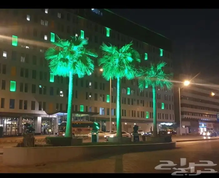 سيتي كلر تاجير شهري 2