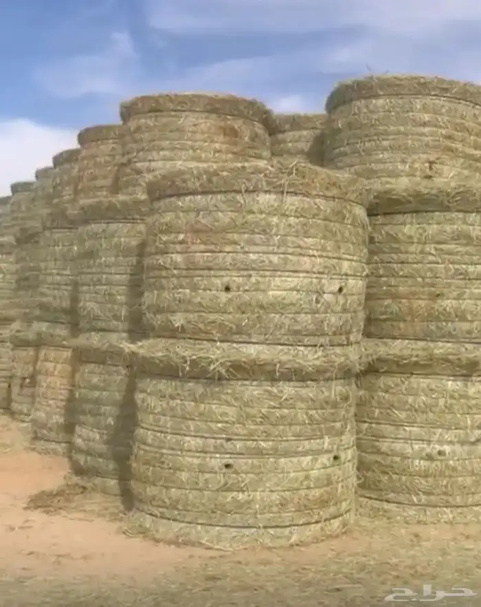 للبيع رودس لفات شد طيب نظيف ناعم 2