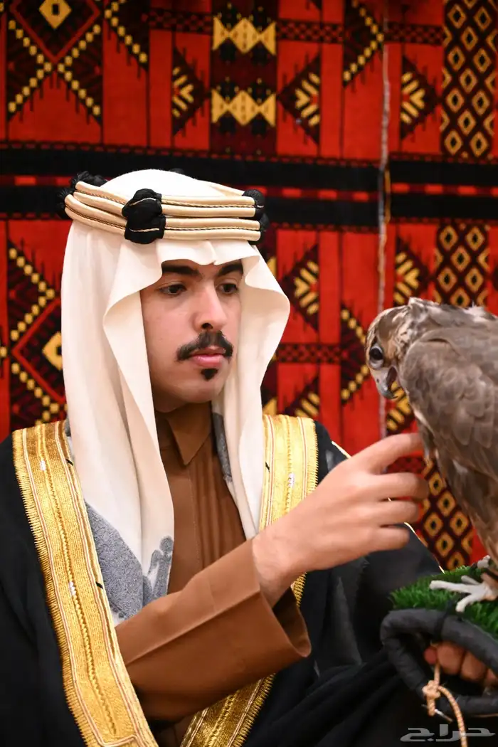 تصوير صور شخصية في ليكند ان 7