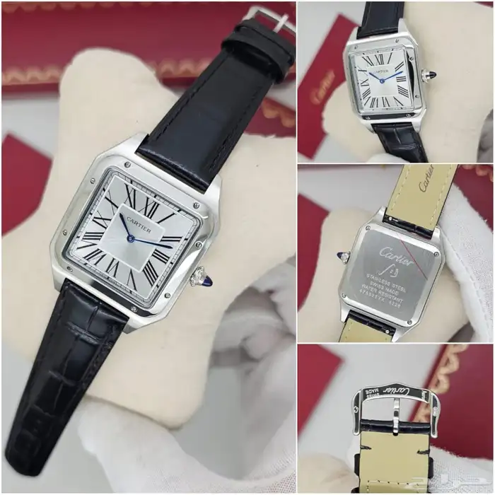 ساعات كارتير 13