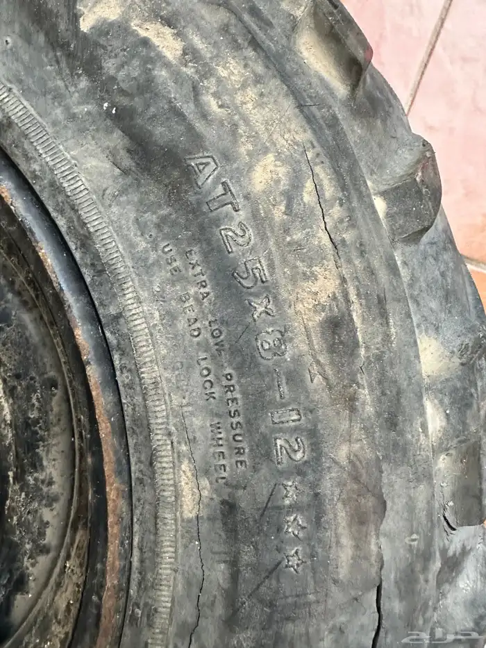 جنوط بقي او دباب كبير 4