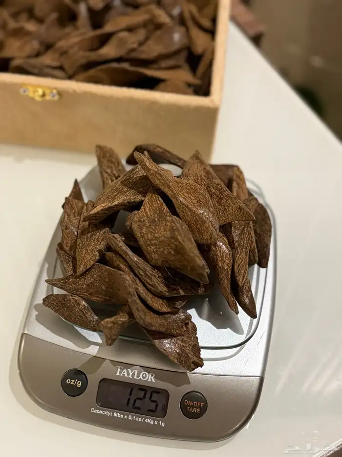 عود مروكي ماليزي 0