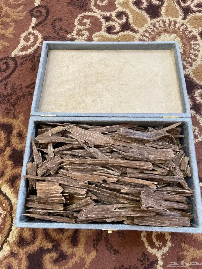 عود خشب هندي طبيعي عرض الوقية ب 150ريال 0