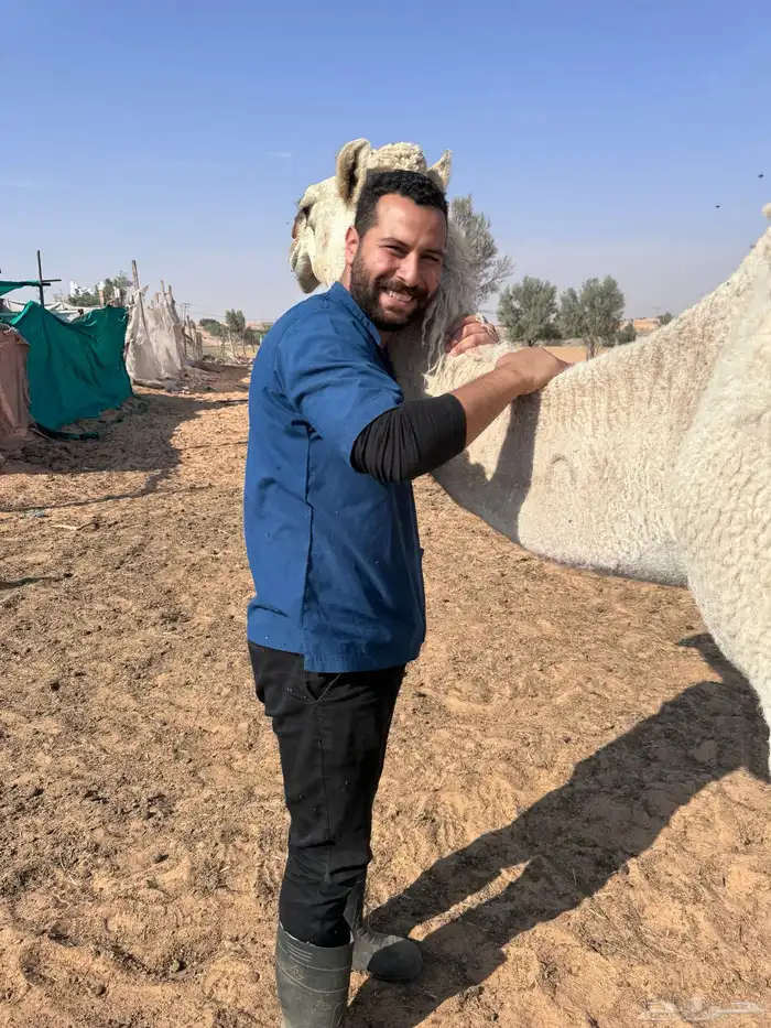 فحص غنم وابل وخيل بالسونار 1