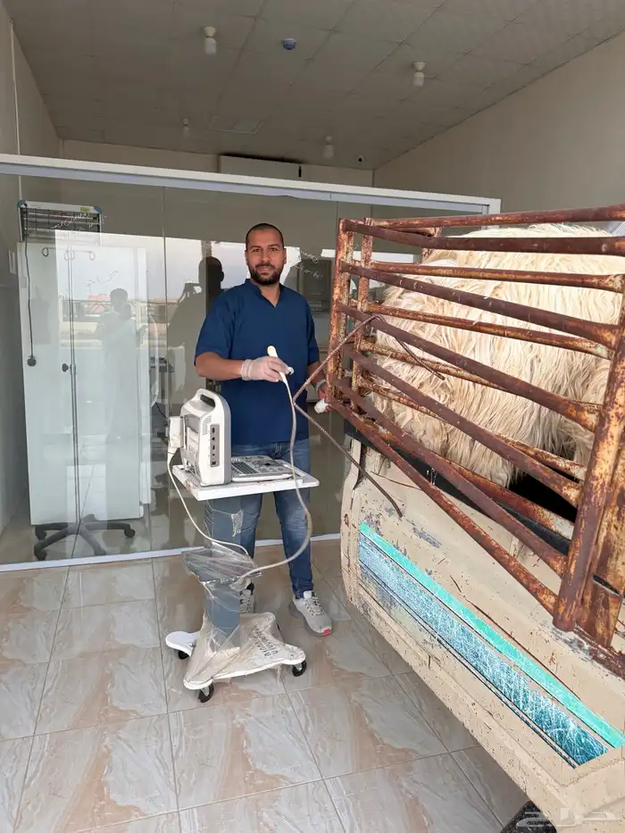 فحص غنم وابل وخيل بالسونار 5