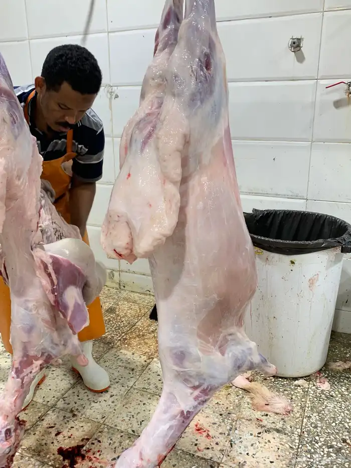 حري ذبائح مناسبات ذبايح ثلاجه يوجد صلخ وتوصيل 7