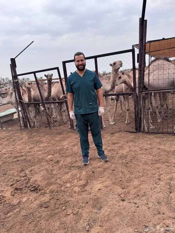 فحص غنم وابل وخيل بالسونار 4