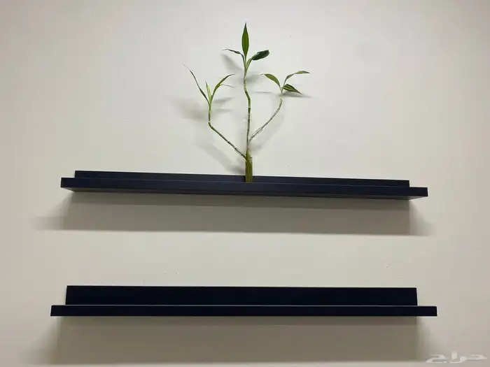 رفوف سوداء 2