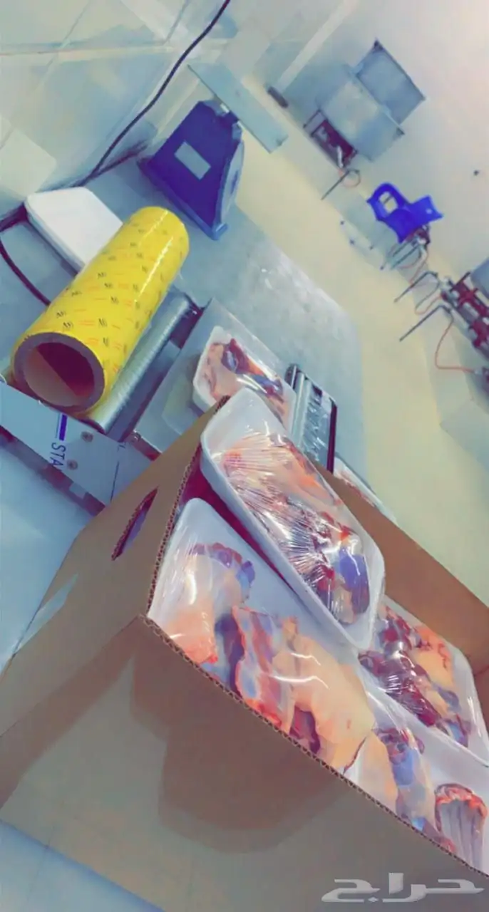 ذبايح بريه 6