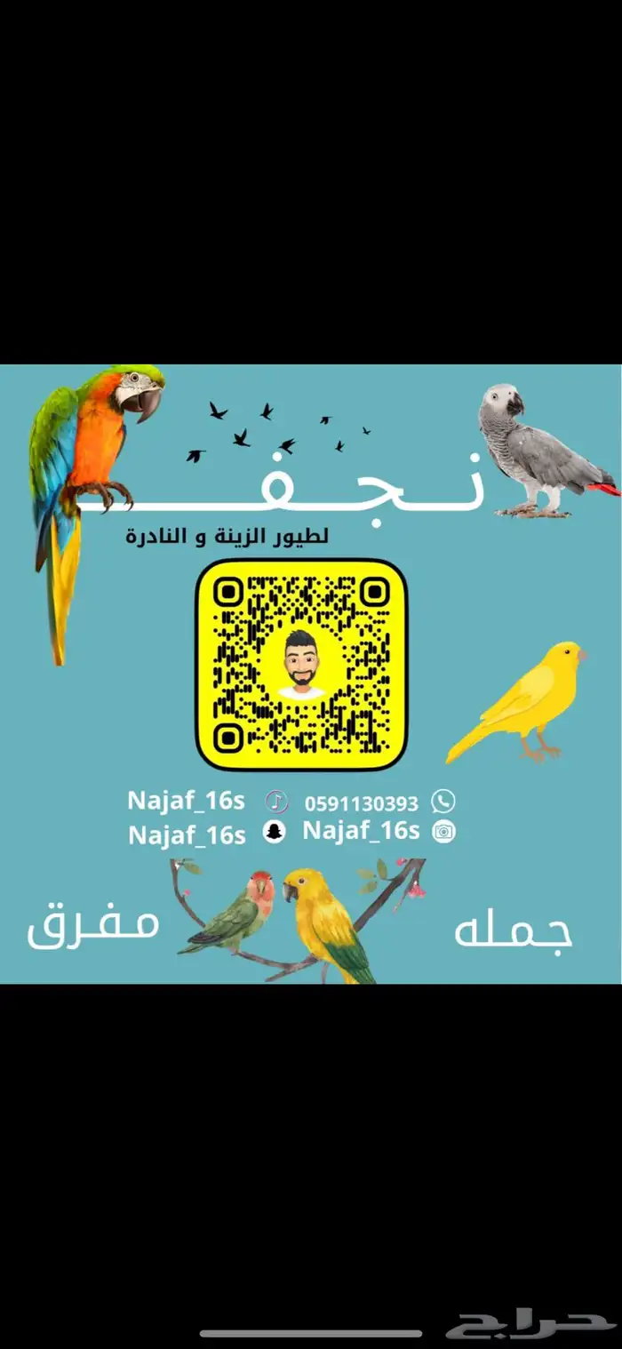 جوز طوقان محلل وجاهز للانتاج مع شهايد 1