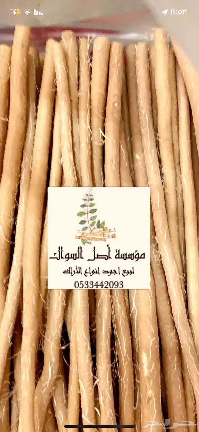 سواك ابو حنش الحار يصلك اينما كنت 3