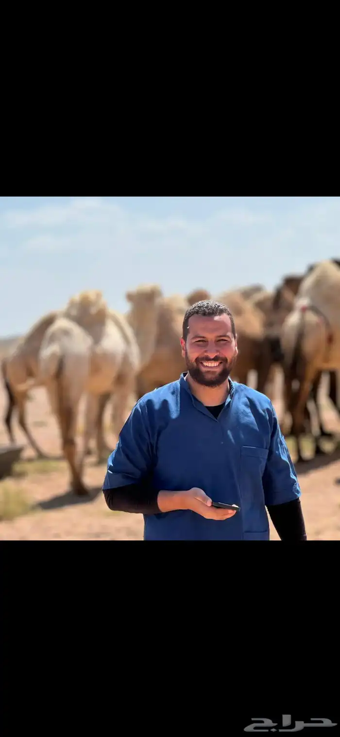فحص غنم وابل وخيل بالسونار 7